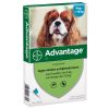 Advantage hond