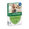 Advantage hond
