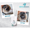 Dermagroom Hydra cream 30ml