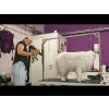 Toobster Waterblazer voor elke hond