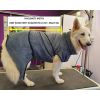 Badjas voor honden - Toobster