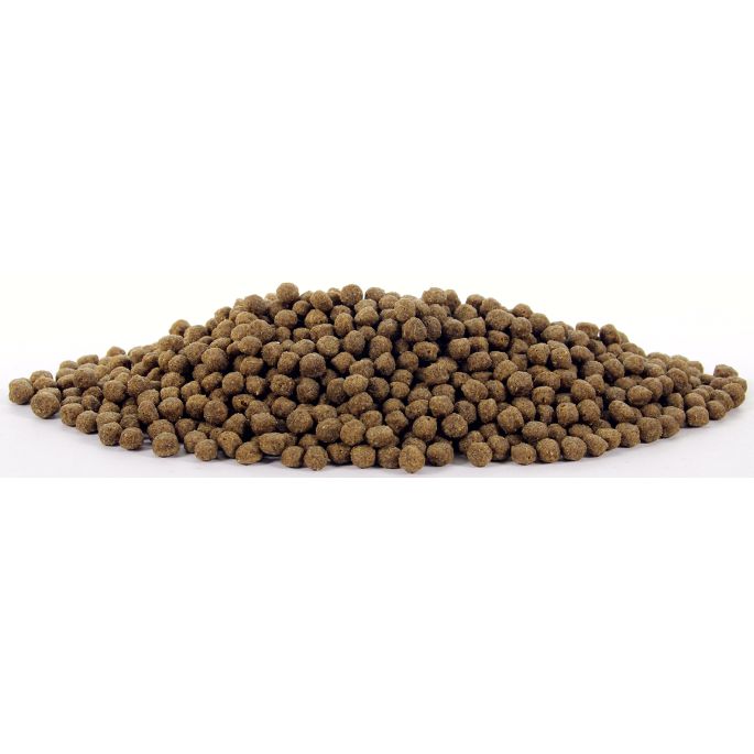 Natural Health hondenvoer lam en rijst Small Bite