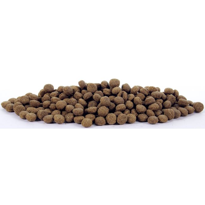 Natural Health Dog Lamb & Rice Adult