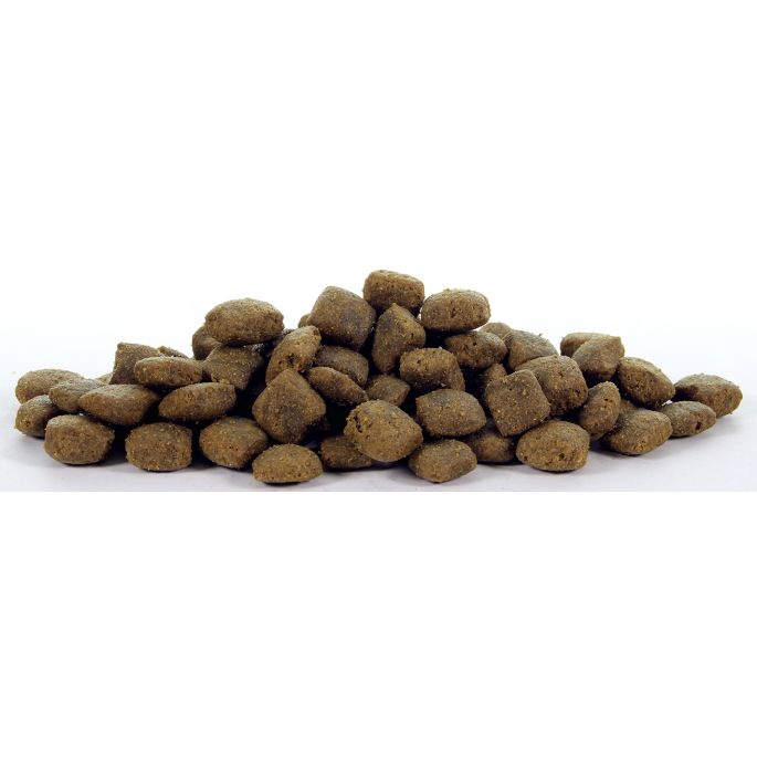 Natural Health Dog Fish & Rice Large Bite