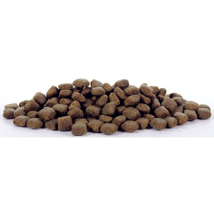 Natural Health Dog Fish & Rice
