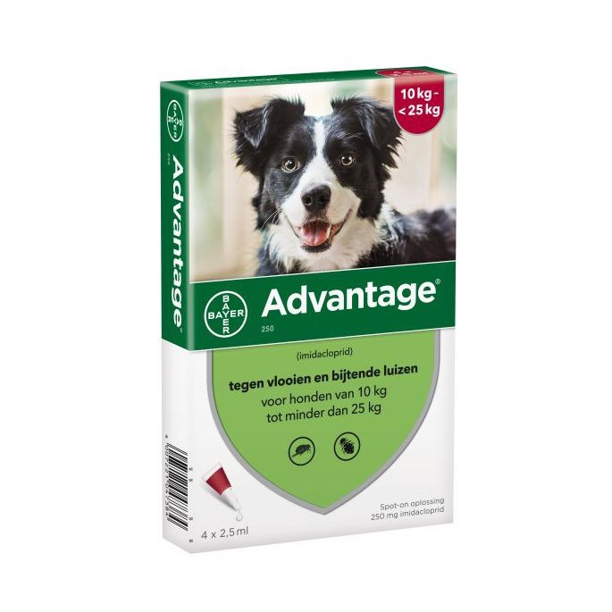 Advantage Hond