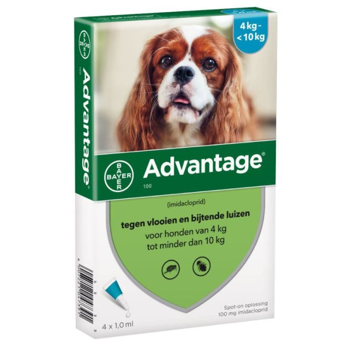 Advantage hond