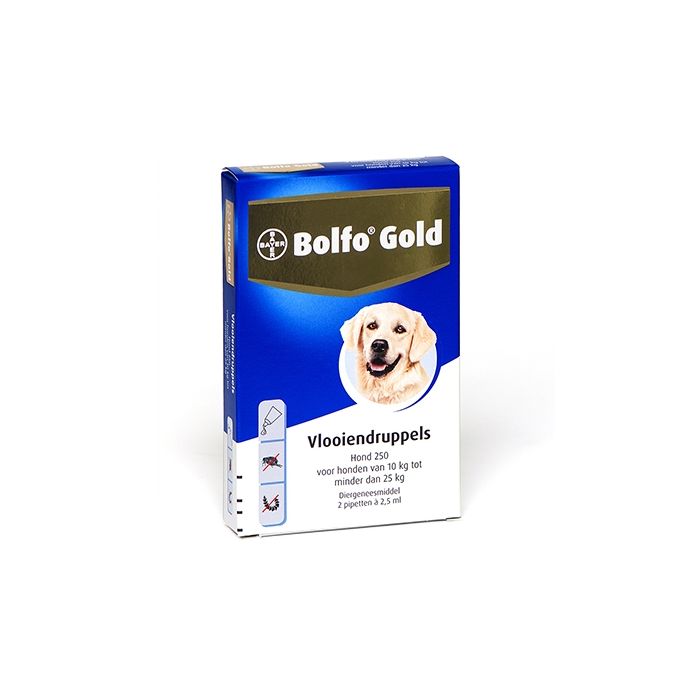 Bolfo Gold Hond