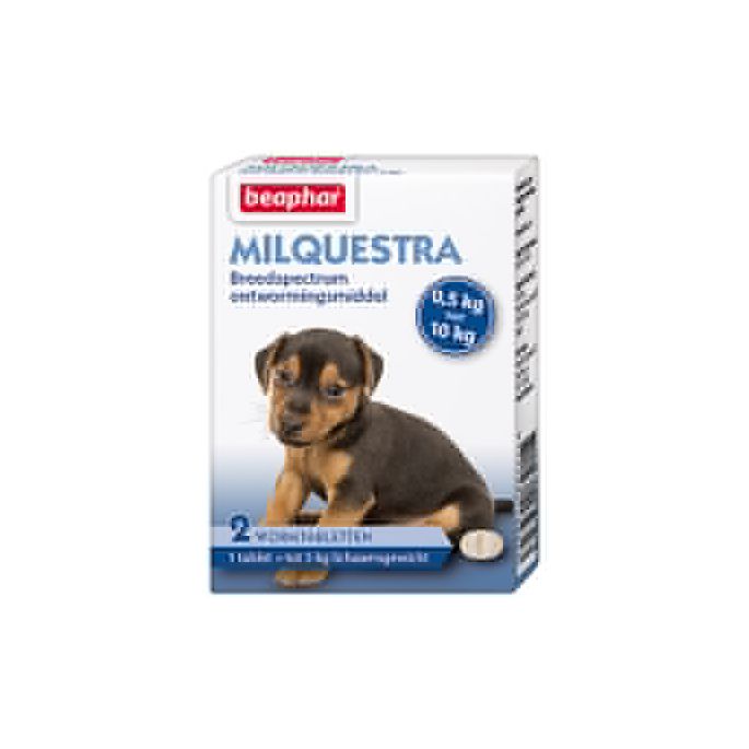 Milquestra Hond Klein en Pup. Verpakking: 2tab.