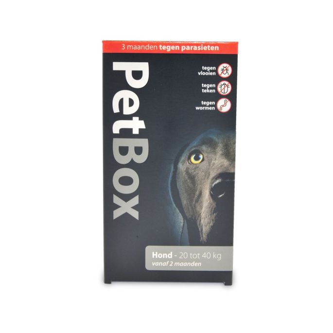 Petbox Hond