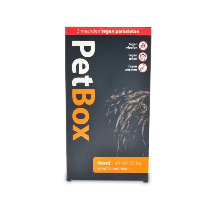 Petbox Hond