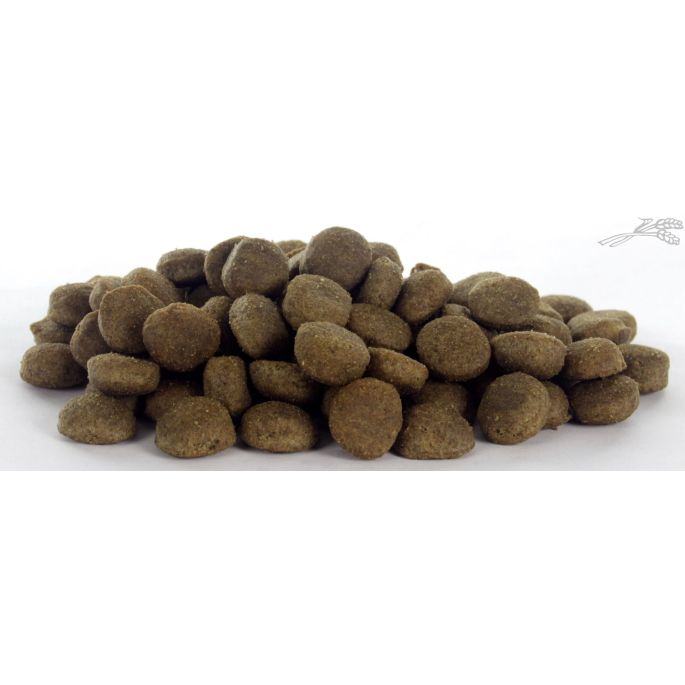 it's My Dog Insect Grain Free