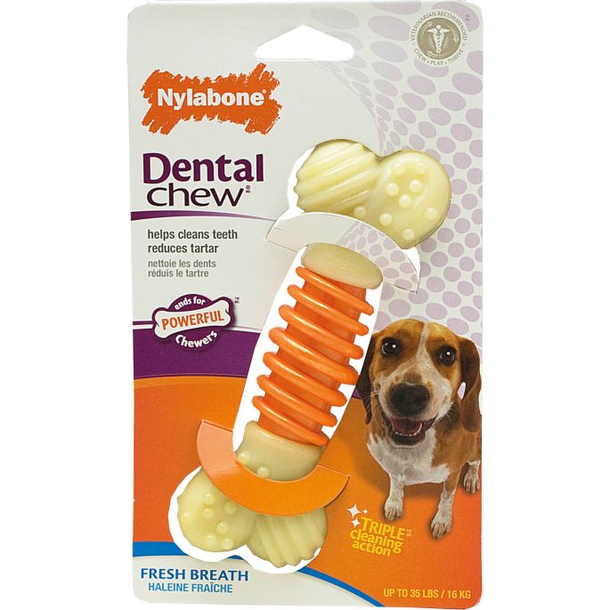 Nylabone PA Dental Device M. Verpakking: 1st. tot 15 kg