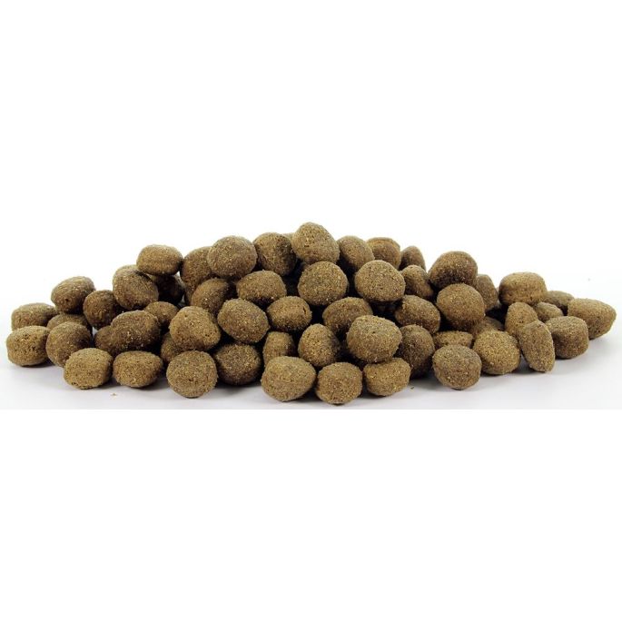Natural Health Dog Lamb & Rice Adult Large Bites