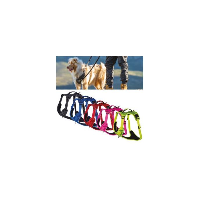 Rogz Utility Explore Tuig 