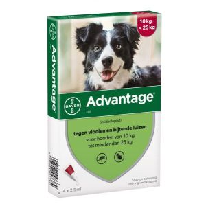 Advantage Hond