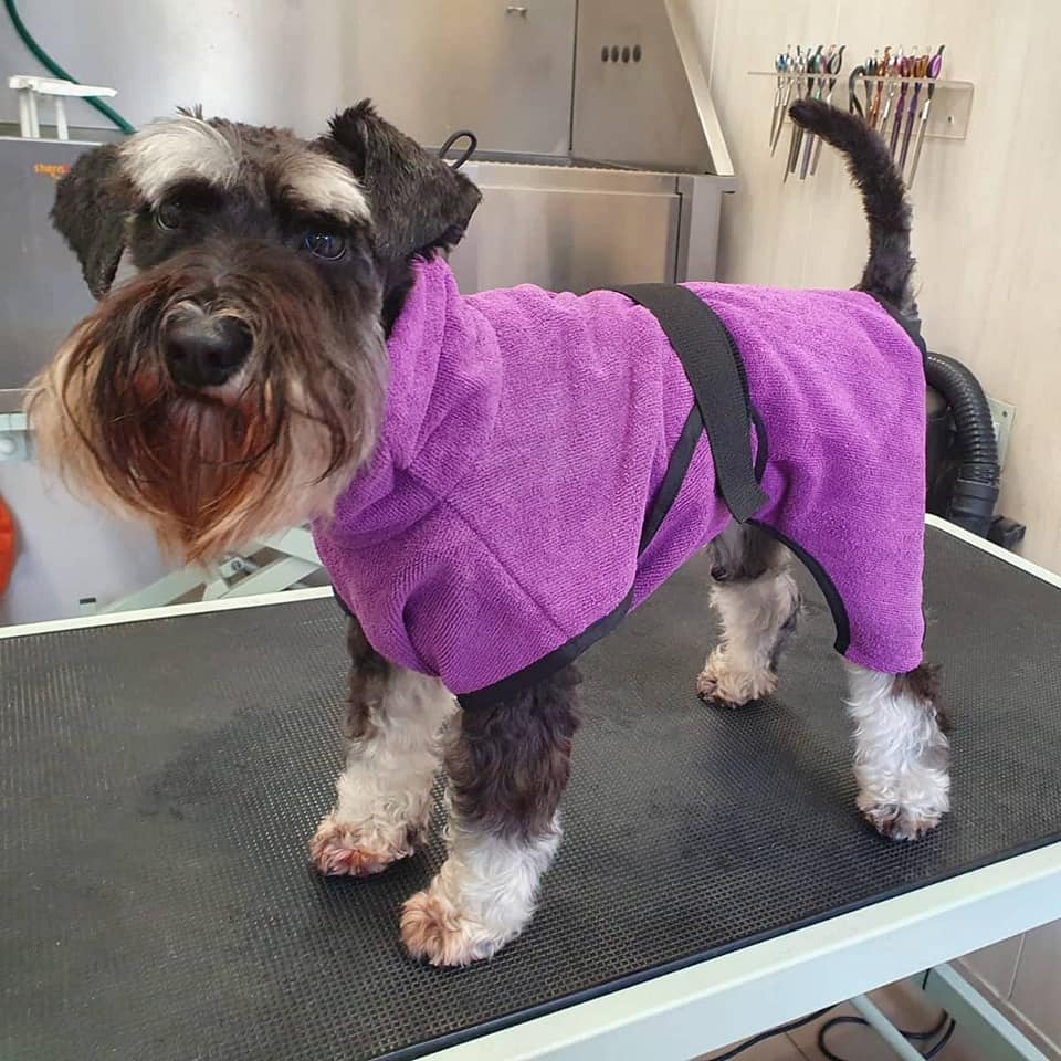 badjas hond